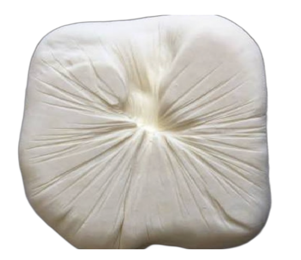 MANDIRA GORCOLO PEYNİRİ (YAPILMAMIŞ TAZE)